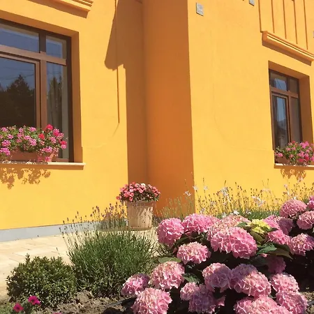 Daire Füredi Virág Balatonfüred